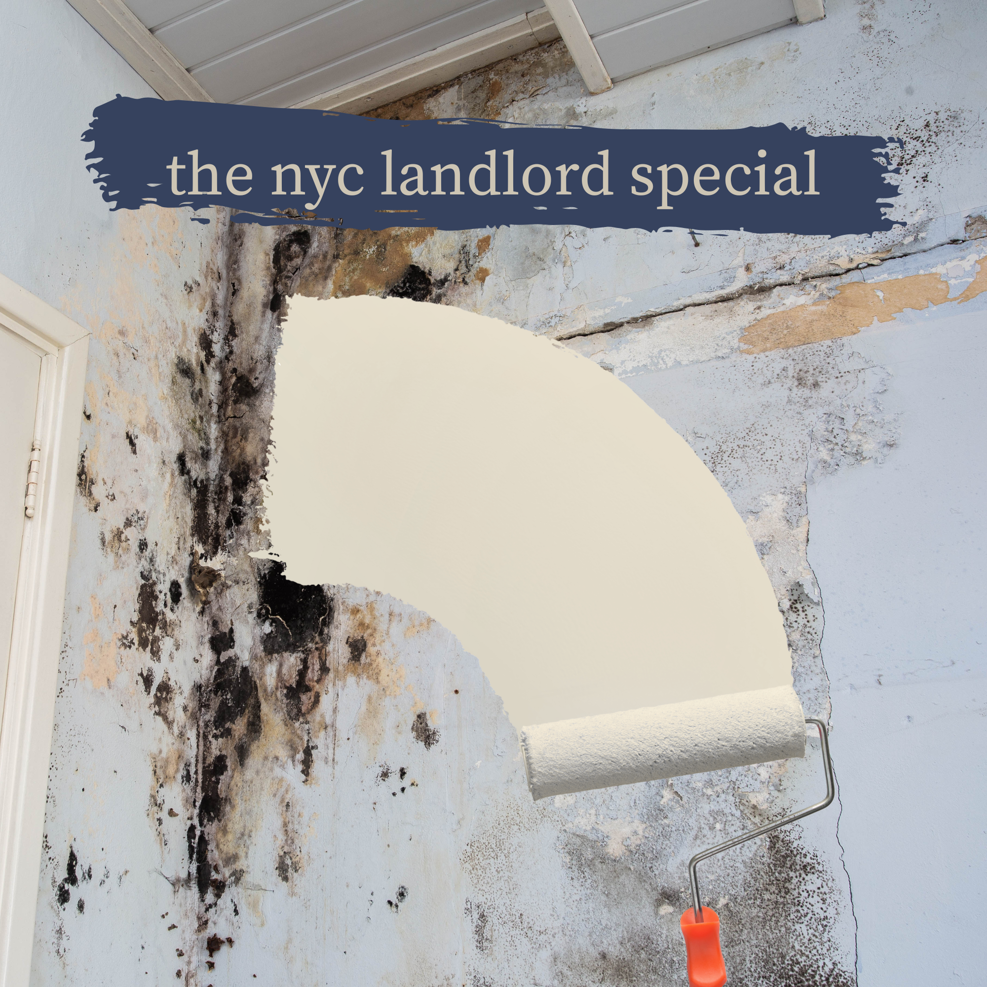 the nyc landlord special