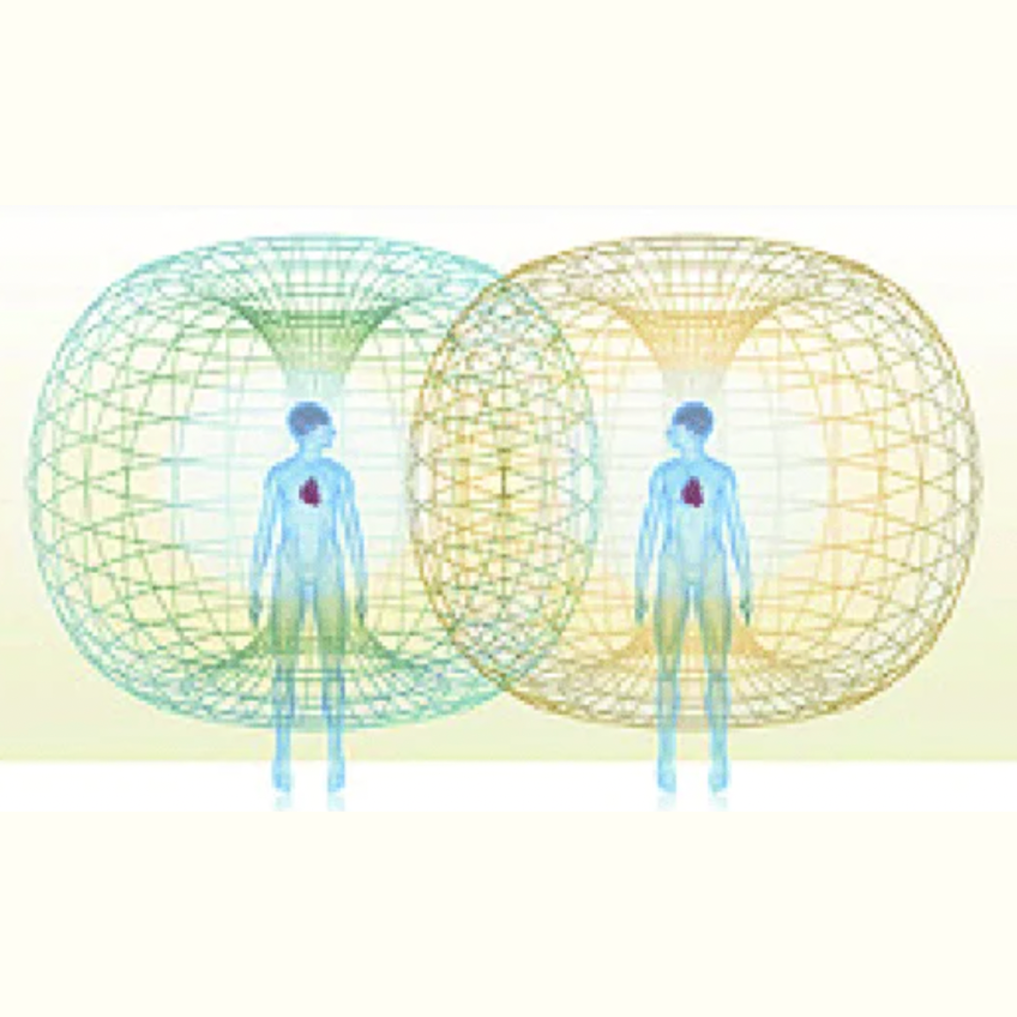 torus
